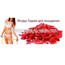 2016 new slim goji berry ningxia dried goji berry with thin flesh